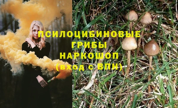 соль курить ск Ельня