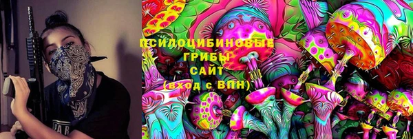 амф Елабуга