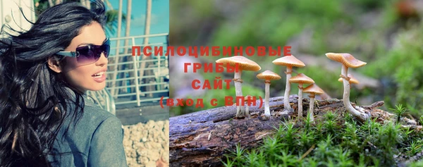mdma Елизово