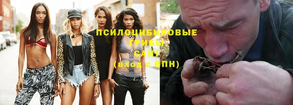 соль курить ск Ельня