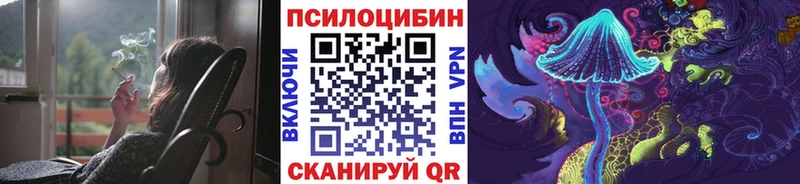 Псилоцибиновые грибы Psilocybine cubensis  Купить закладки  Кумертау 